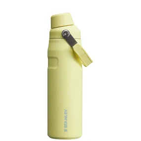 24oz Iceflow Bottle with Fast Flow Lid in Pomelo